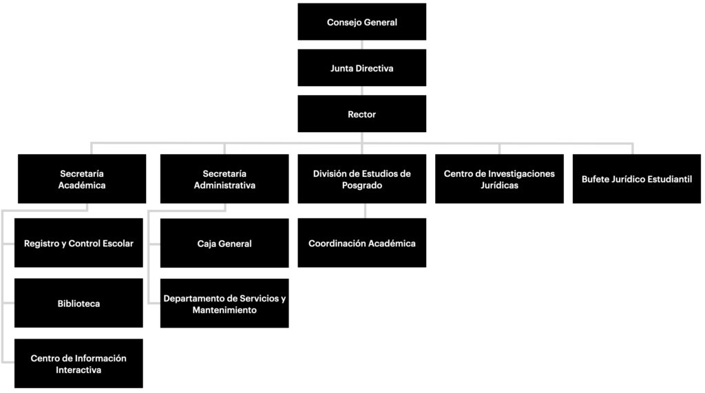 Grupo Alen Organigrama